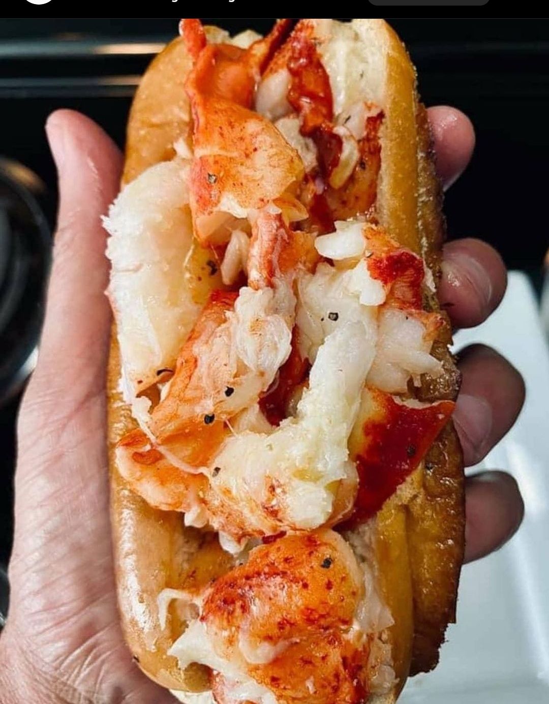 Lobster Dogs at Bays Mountain Brewing-KINGSPORT