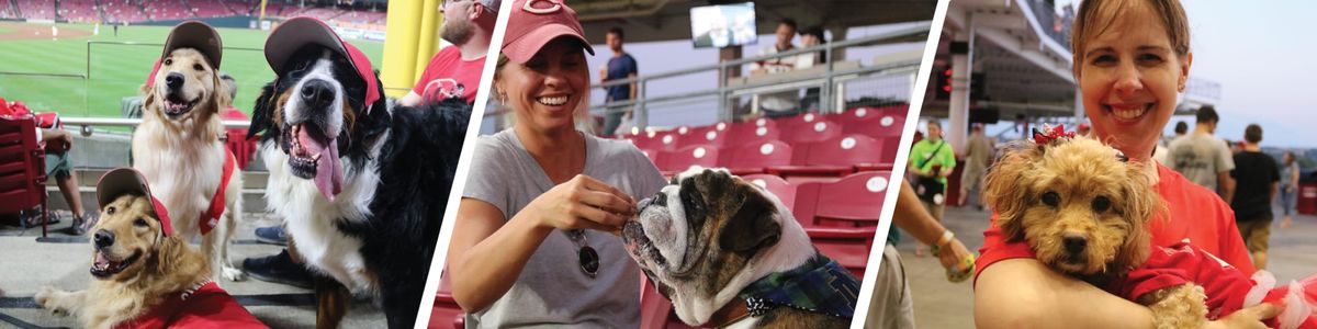 Cincinnati Reds vs. Texas Rangers