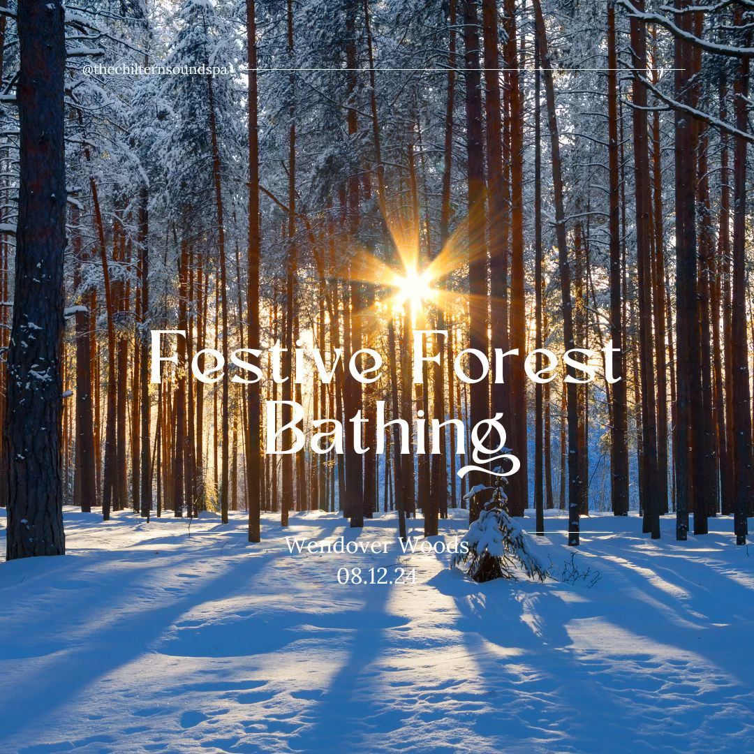 Festive Forest Bathing