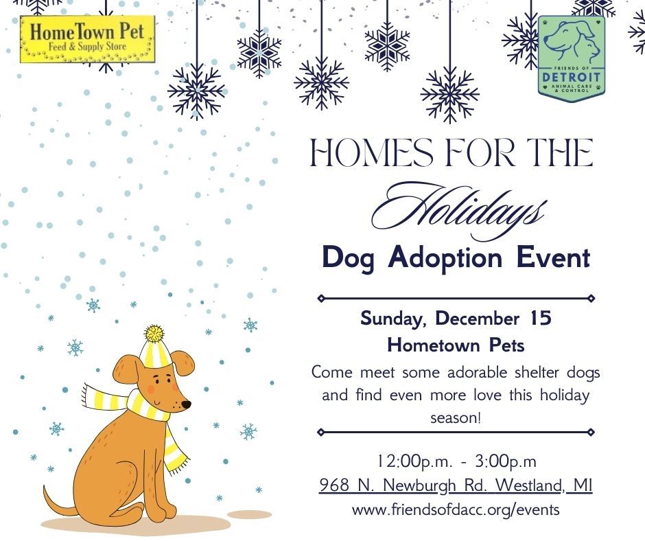 Homes for the Holidays - Dog Adoption Event