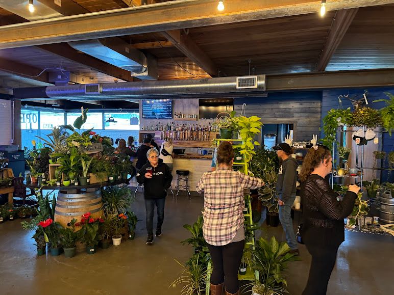 North Bend Plant Nursery Pop-Up at NoBe by Dragonfly Nursery | Sunday, February 2nd | 11-3