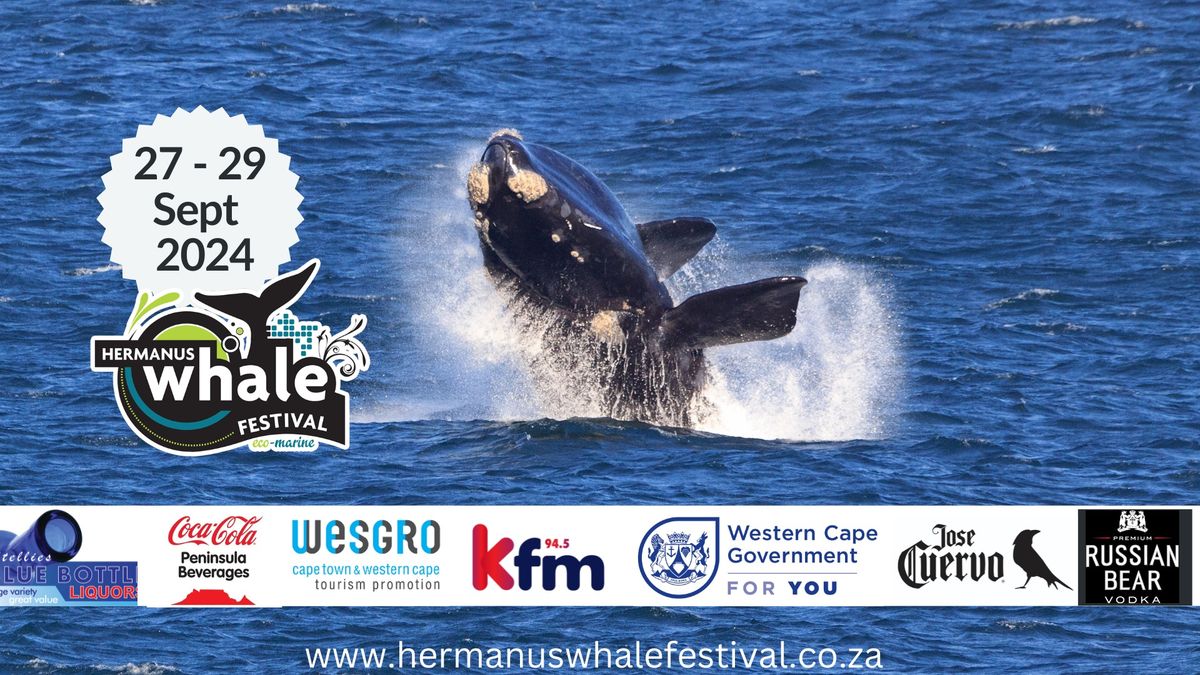 Hermanus Whale Festival 2024