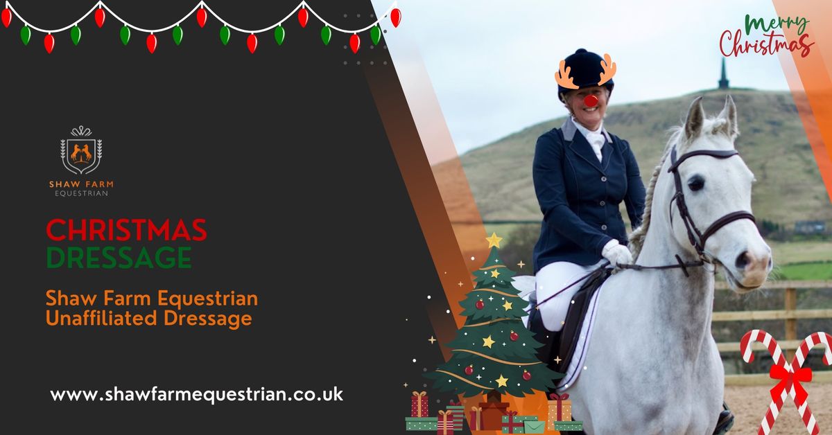 Christmas Dressage \ud83c\udf85\ud83c\udffc 