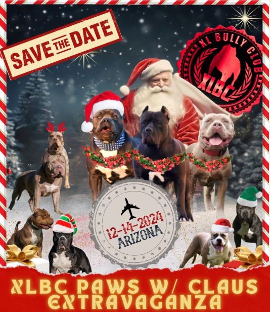 XLBC PAWS w\/ CLAUS EXTRAVAGANZA 