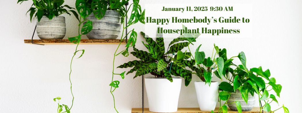 Free Class! Happy Homebody's Guide to Houseplant Happiness