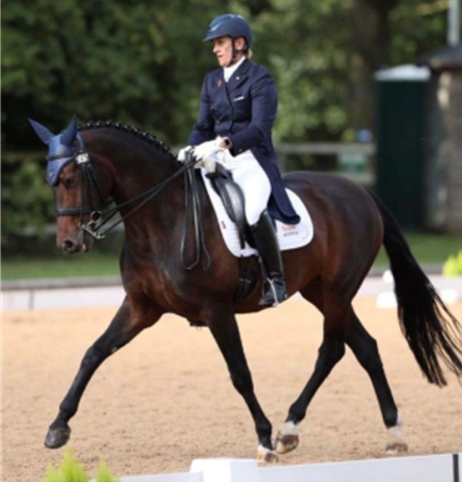 Fortune College and New Forest Riding Club Open Unaffiliated Dressage Competition