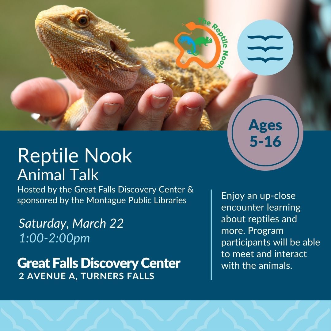 Reptile Nook: Animal Talk