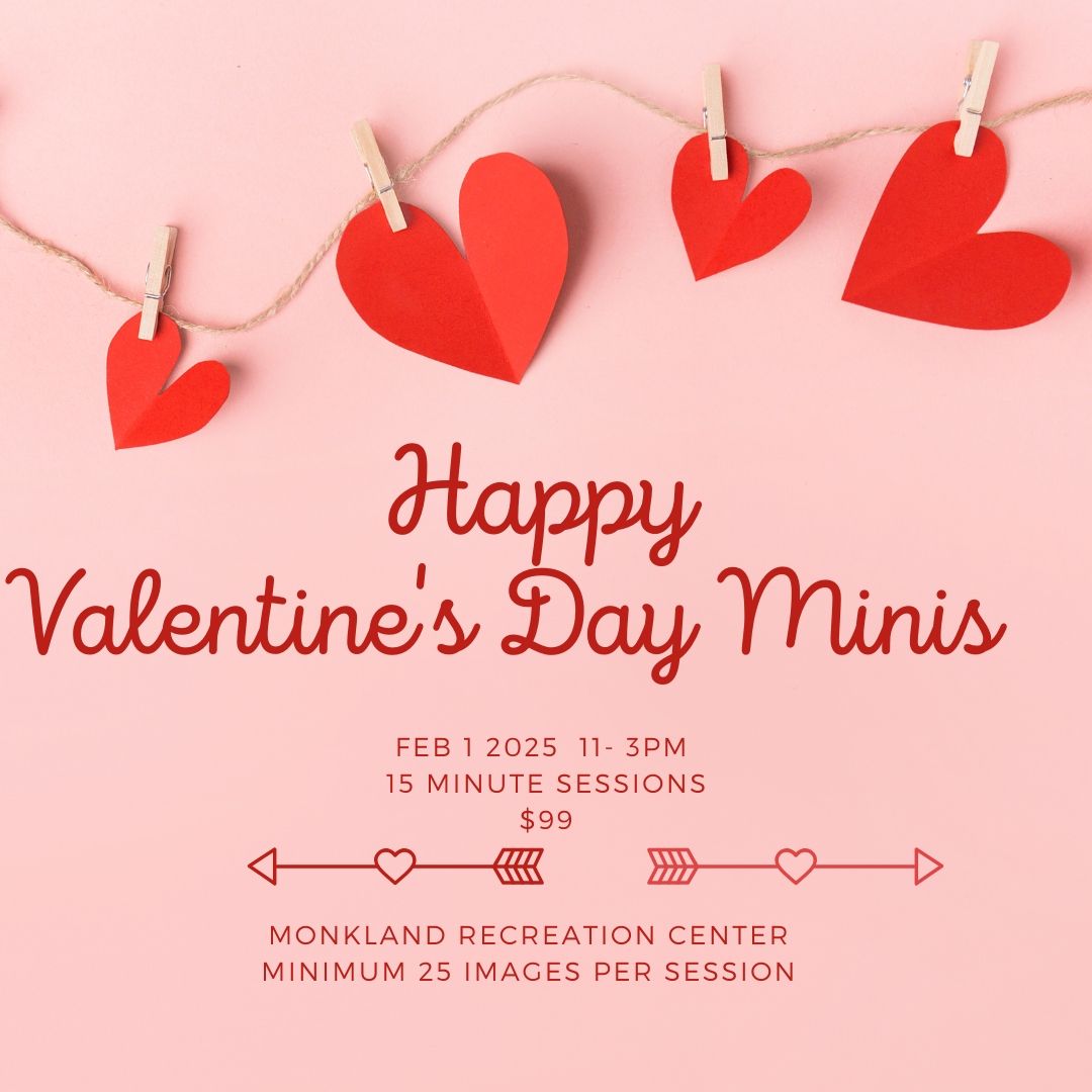 Happy Valentine's Day Minis