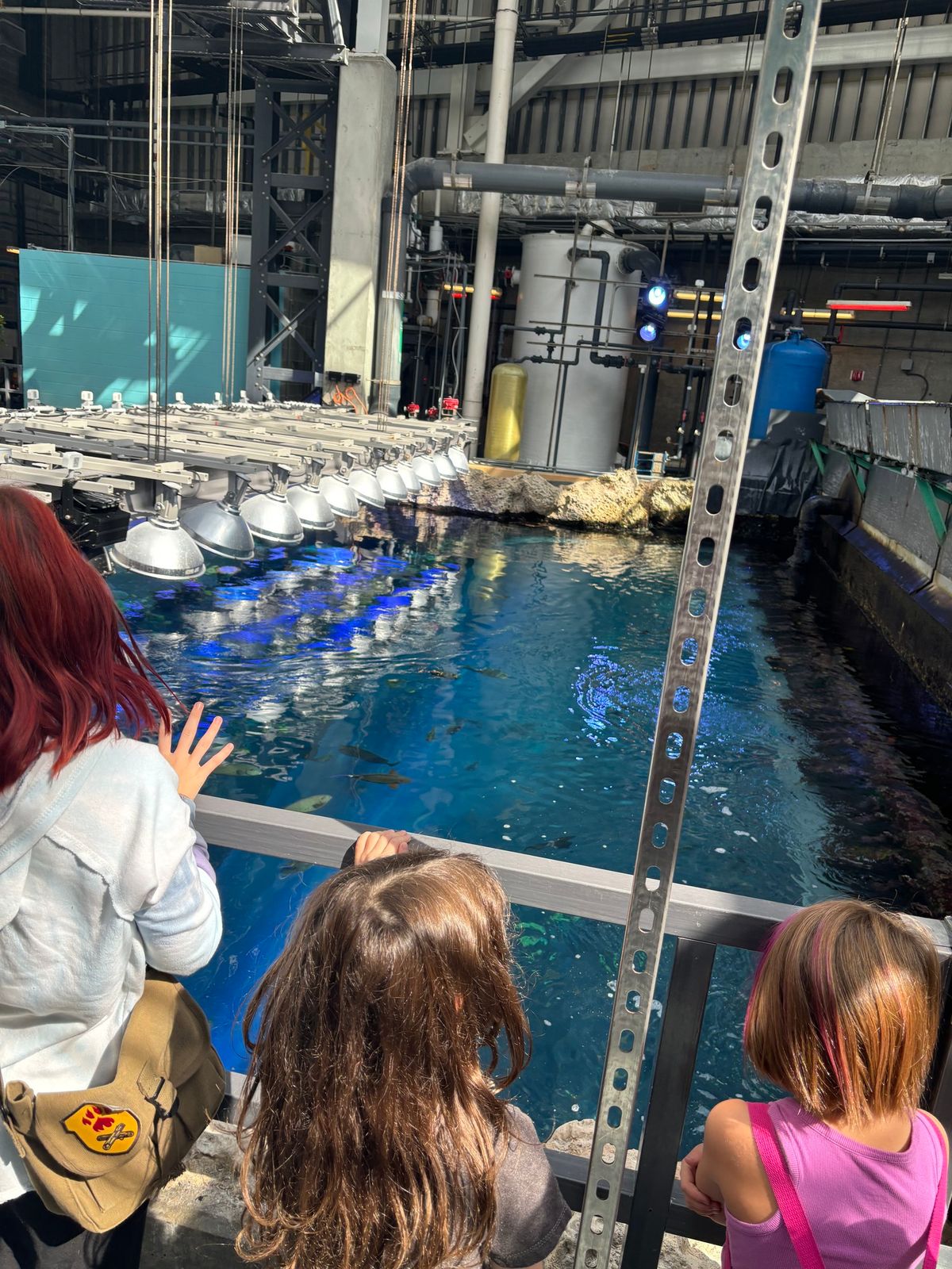 Spruce Learning @ Georgia Aquarium Homeschool Outing & Behind the Scenes Tour