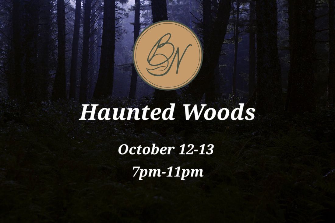 Haunted Woods 24