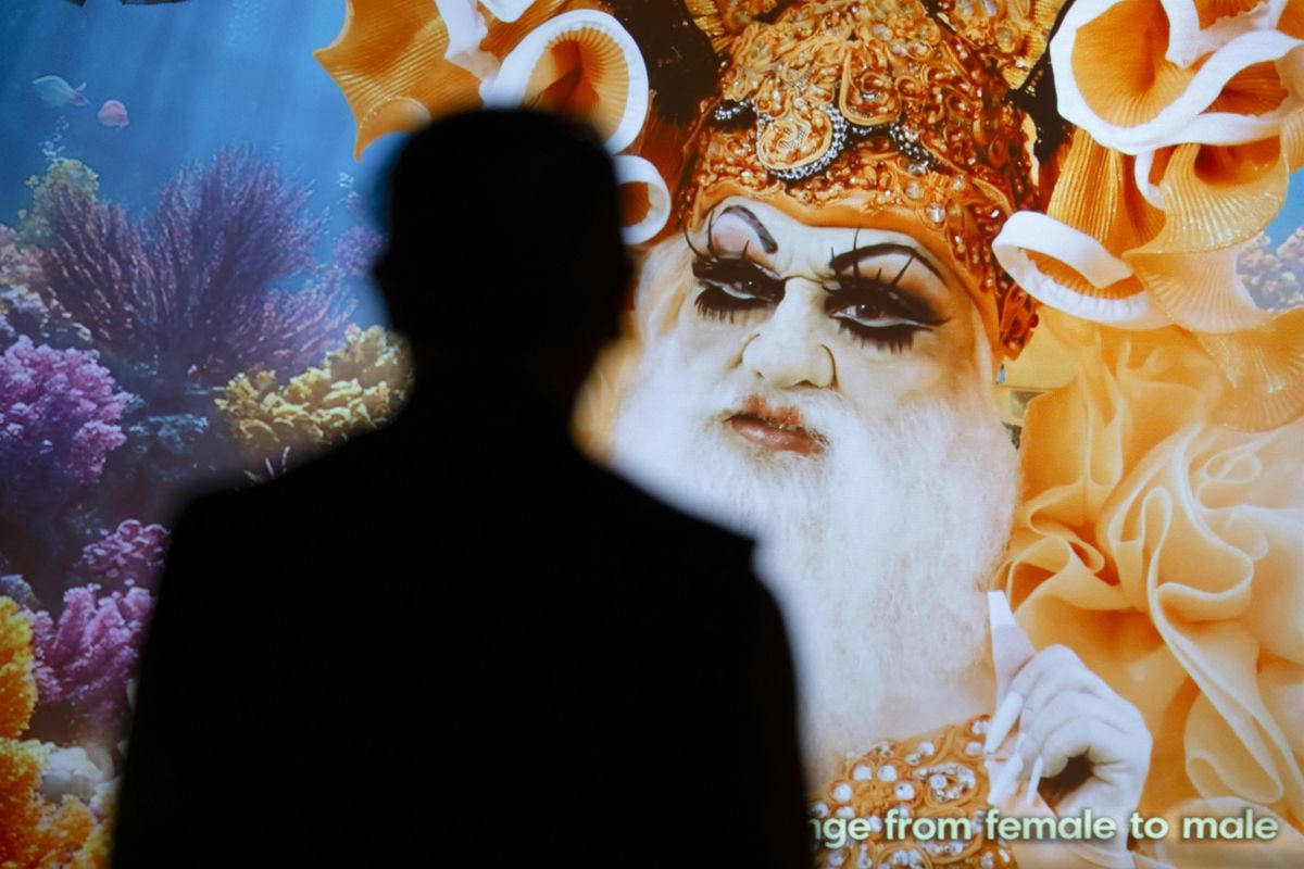 Yuki Kihara: Darwin in Paradise Camp Exhibition Tour