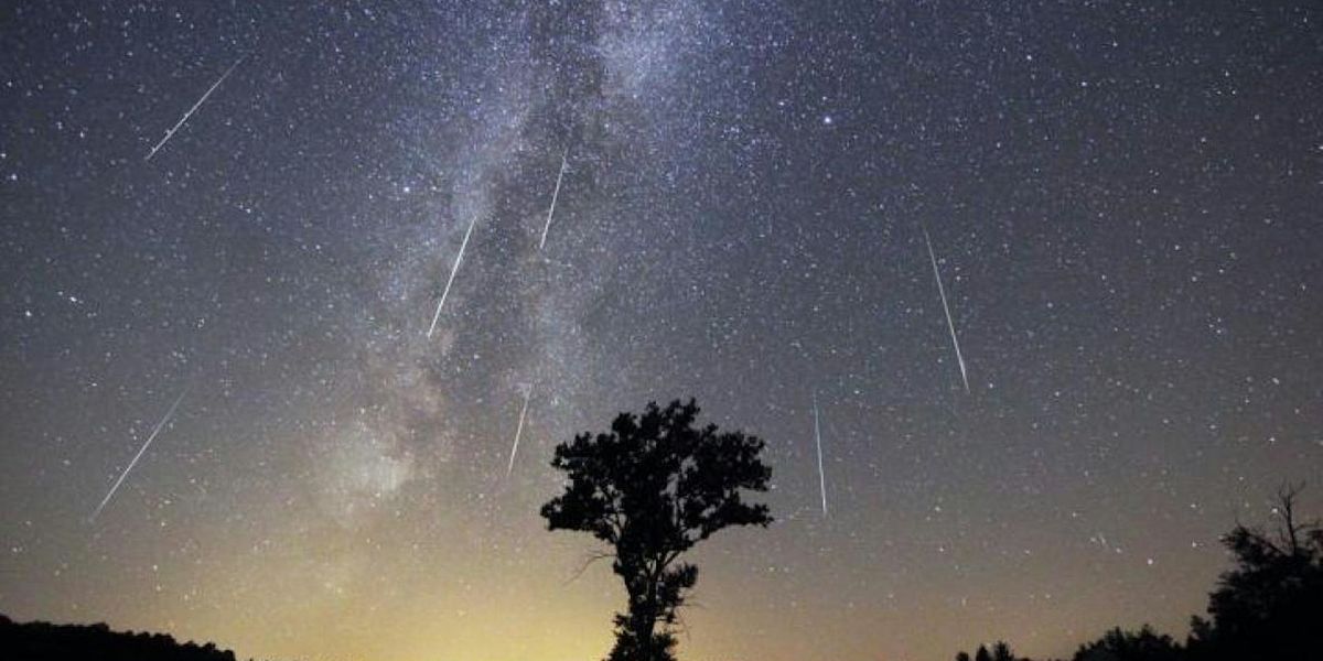 Perseid Meteor Shower I (Bring your own chair or blanket)