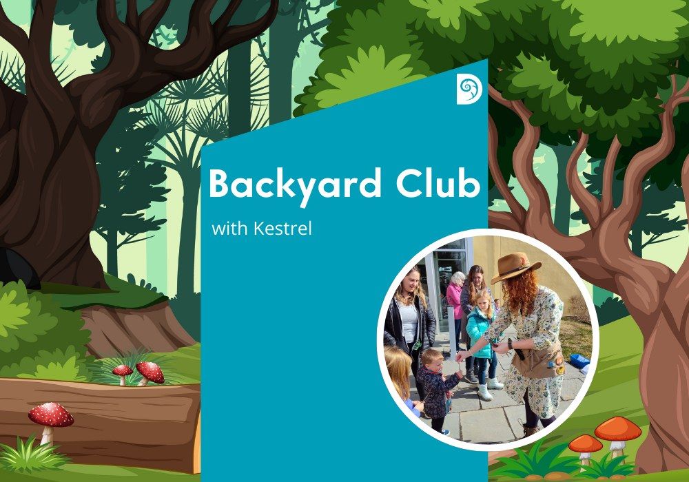 Backyard Club with Kestrel