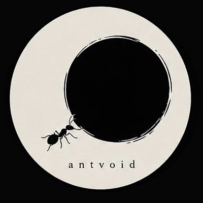 Antvoid
