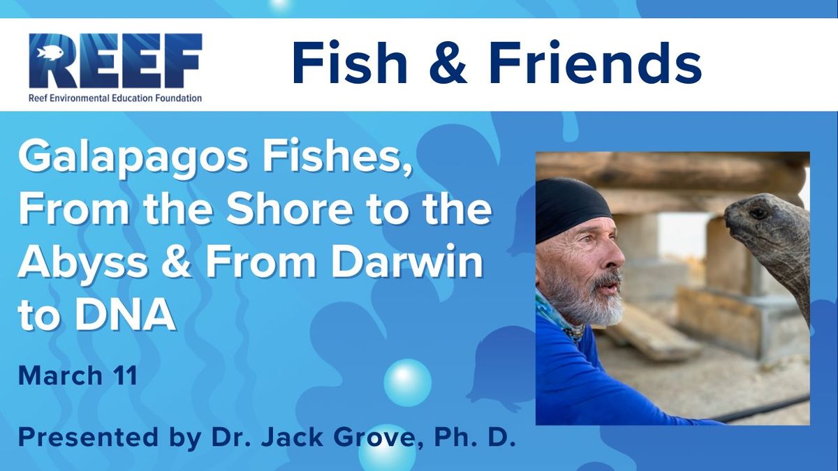 In Person - REEF Fish & Friends: Galapagos Fishes, From the Shore to the Abyss & From Darwin to DNA