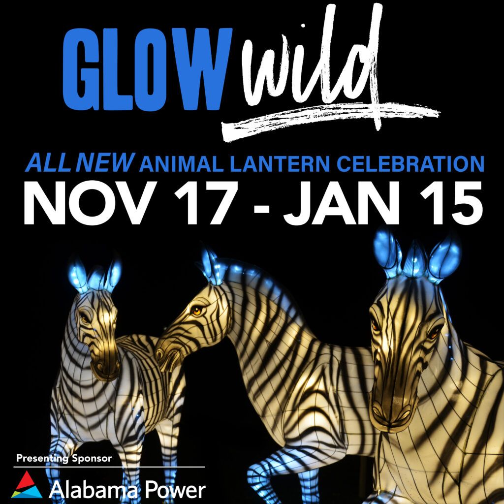 Wild World of Animals Live