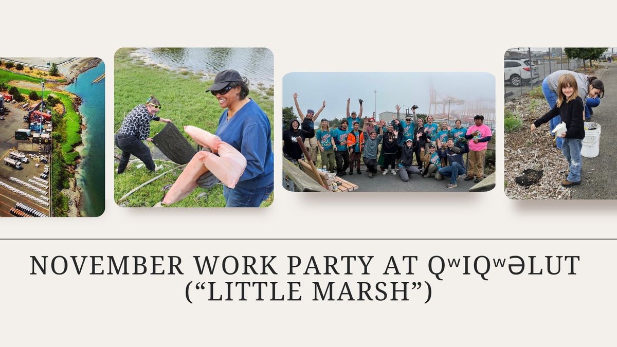 November work Party at q\u02b7iq\u02b7\u0259lut (\u201clittle marsh\u201d)