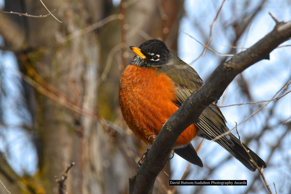 March Nature Outing