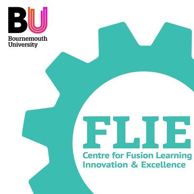 FLIE (Fusion Learning Innovation & Excellence) @BU