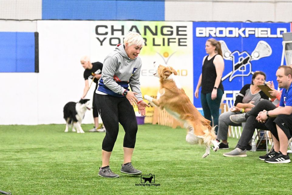 Daisy Peel Agility Seminar April 2024, Morningstar's Clever K9s