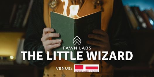 The Little Wizard - 15th Dec - 17th Dec (9am to 12:30pm)
