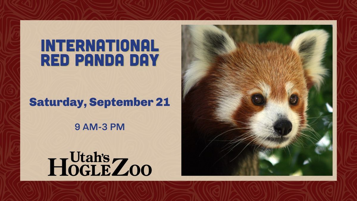 International Red Panda Day