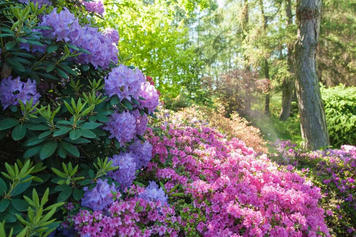 Gardening for Success in the Pacific Northwest