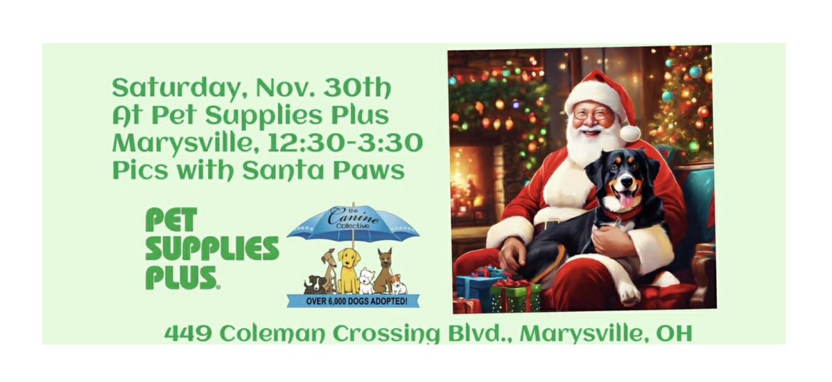 Pics with Santa Paws - Pet Supplies Plus Marysville 