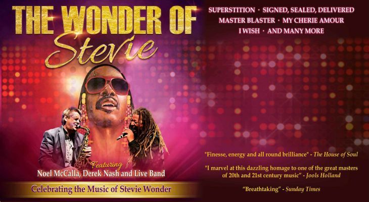 The Wonder of Stevie