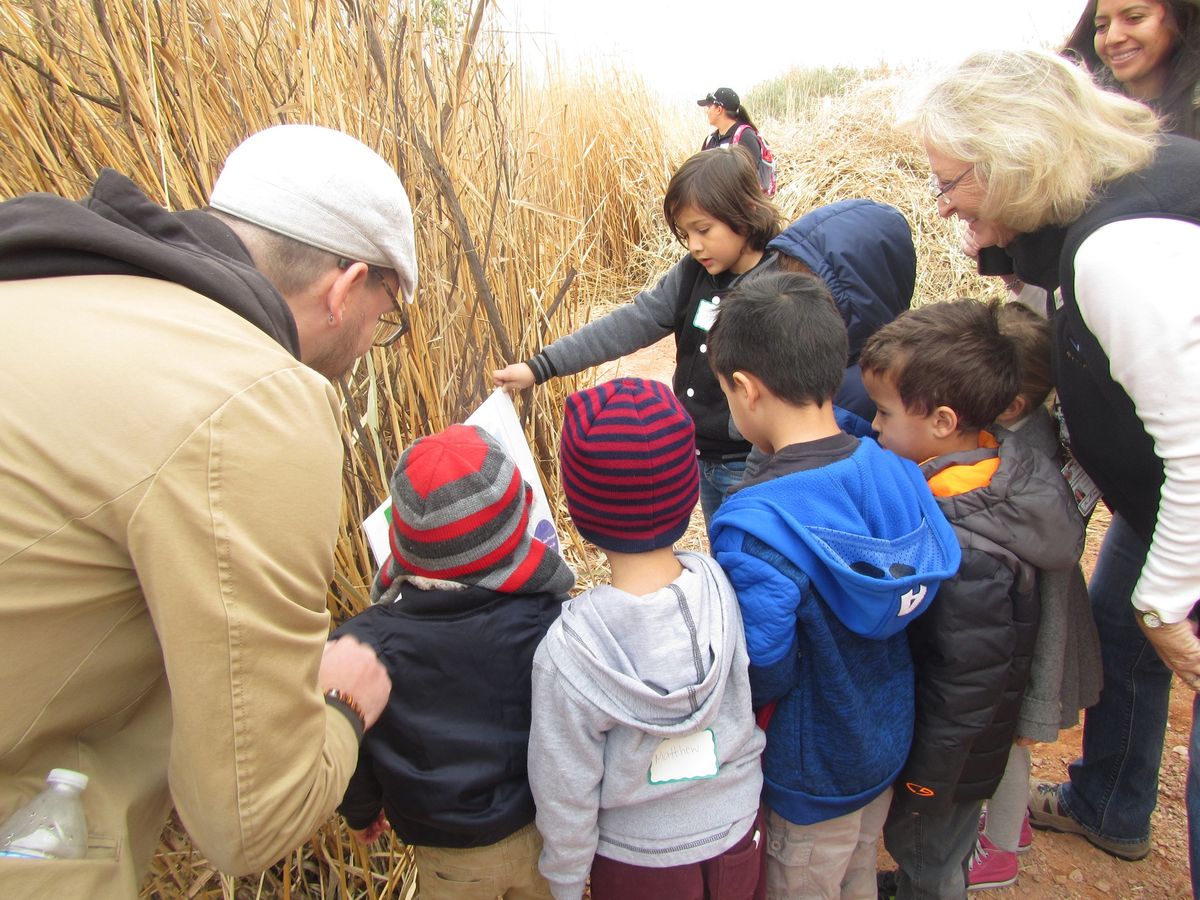 Winter Wildlife Walk