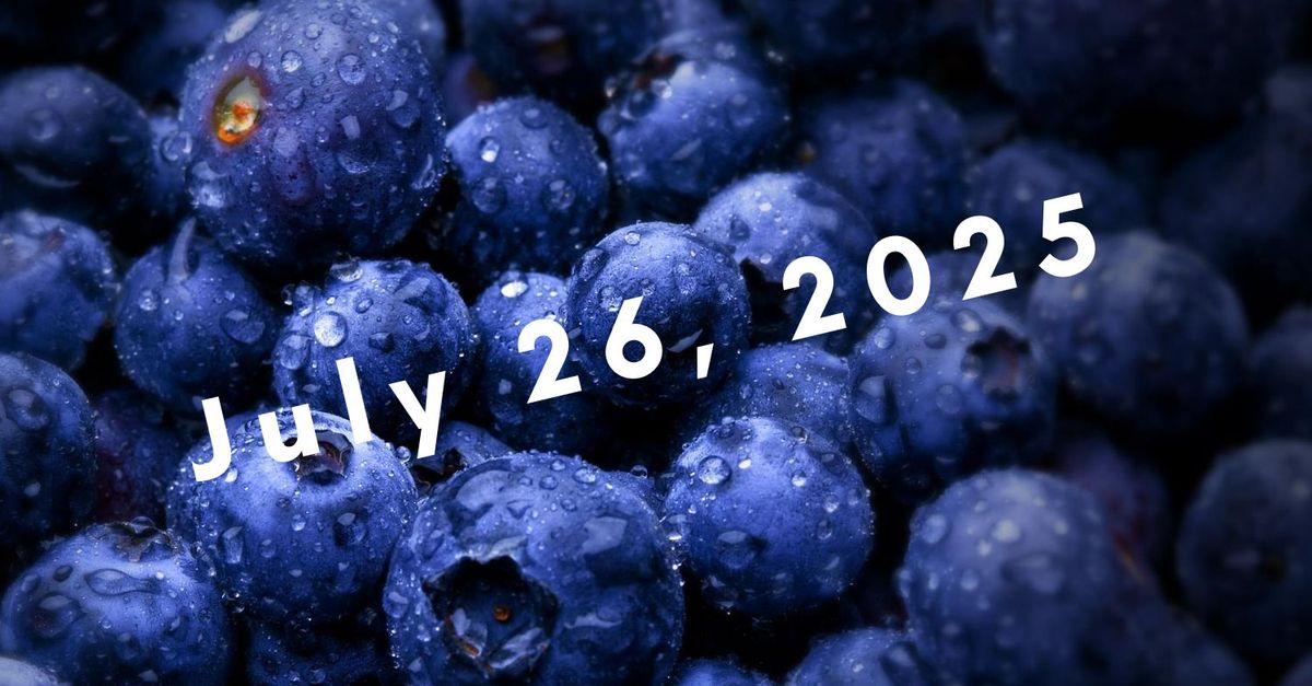 2025 Blueberry Fun Festival