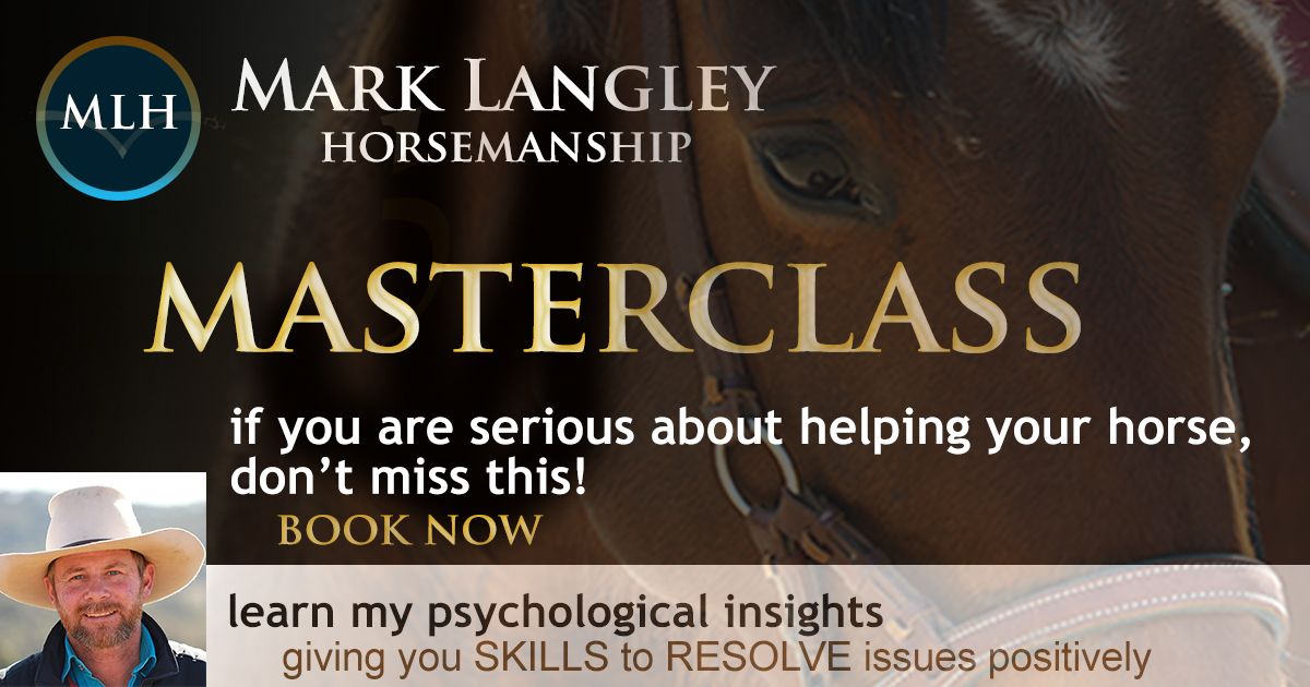 Mark Langley MASTERCLASS PERTH WA