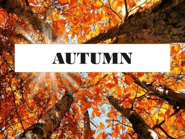 Autumn Wreath Craft Workshop 