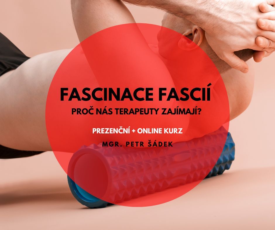 Fascinace fasci\u00ed: pro\u010d n\u00e1s terapeuty tak zaj\u00edmaj\u00ed? (online + prezen\u010dn\u011b)