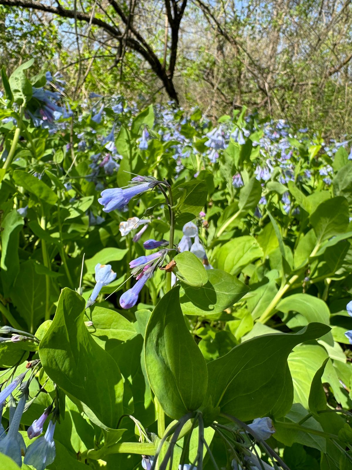 Seasonal Spotlight: Signs of Spring