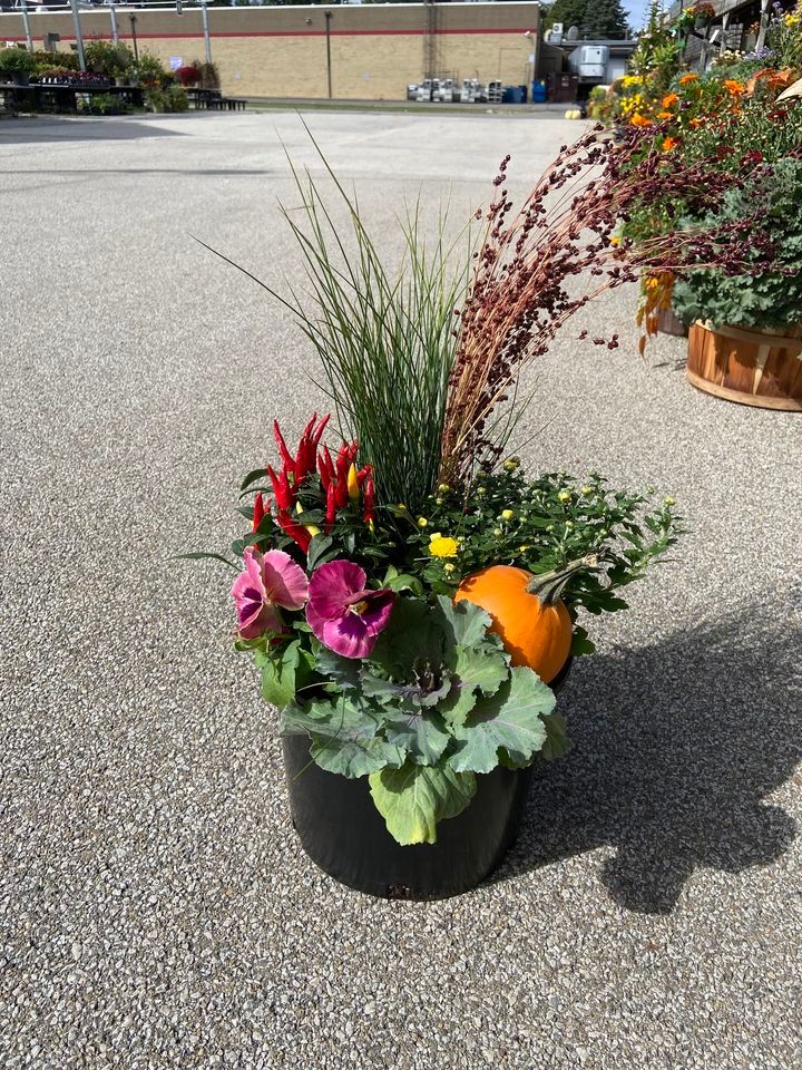 Fall Porch Pots & Sips