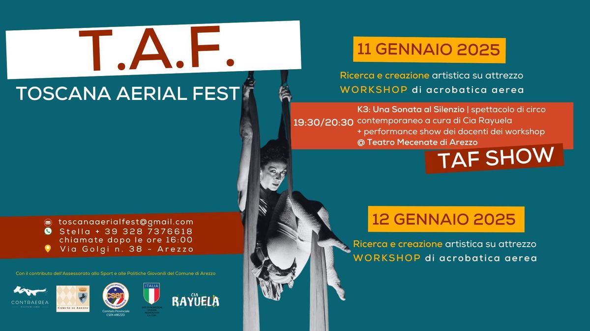 T.A.F. | Toscana Aerial Fest