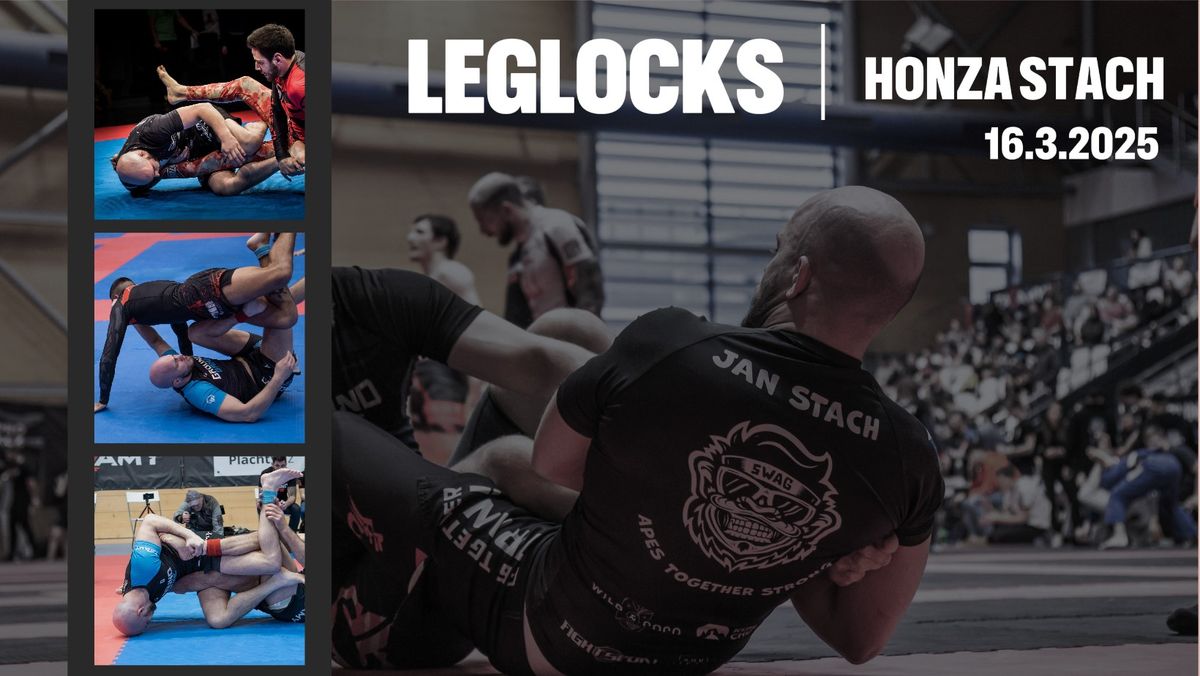 Honza Stach - Leglocks