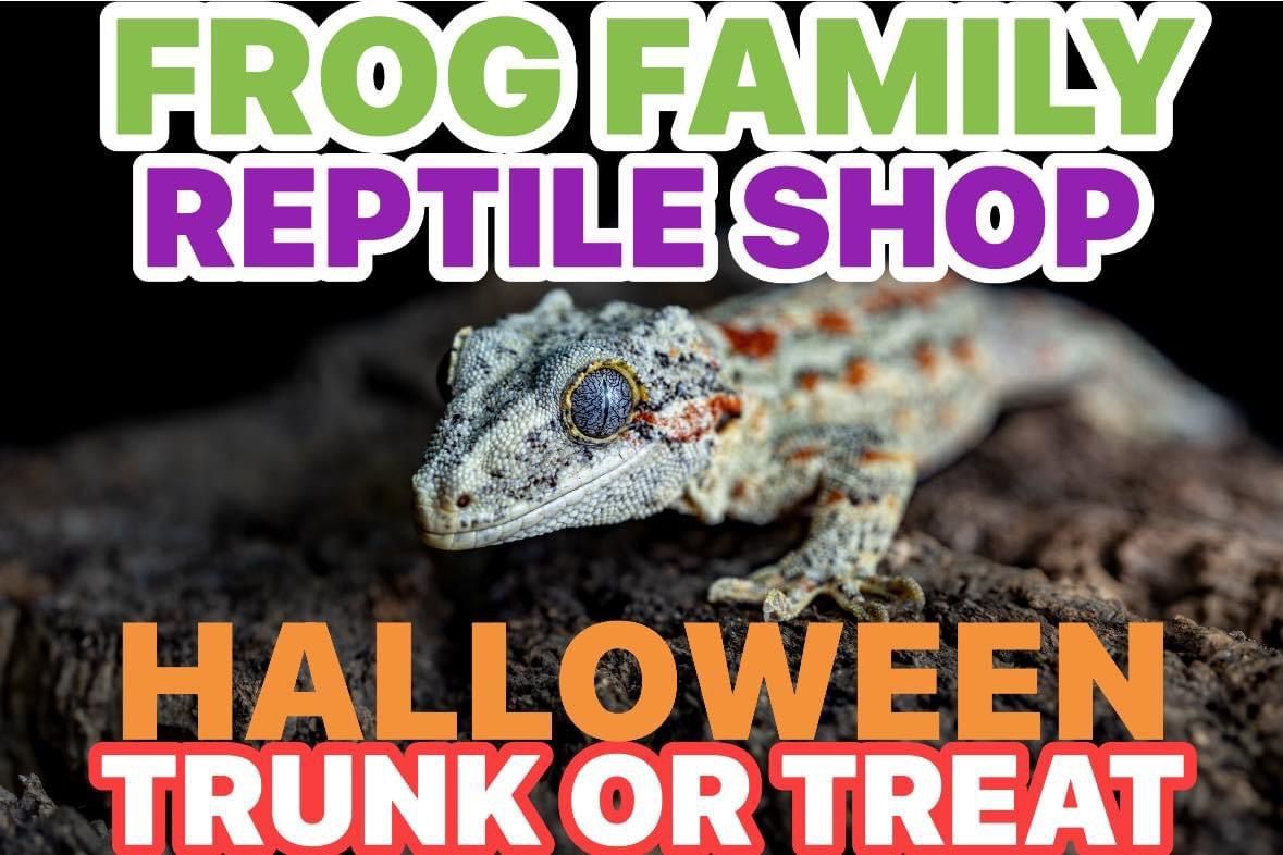 Frog family reptile shop trunk, or treat, Springfield, Missouri