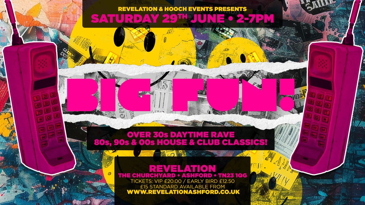 Big Fun!    Over 30s Daytime Rave