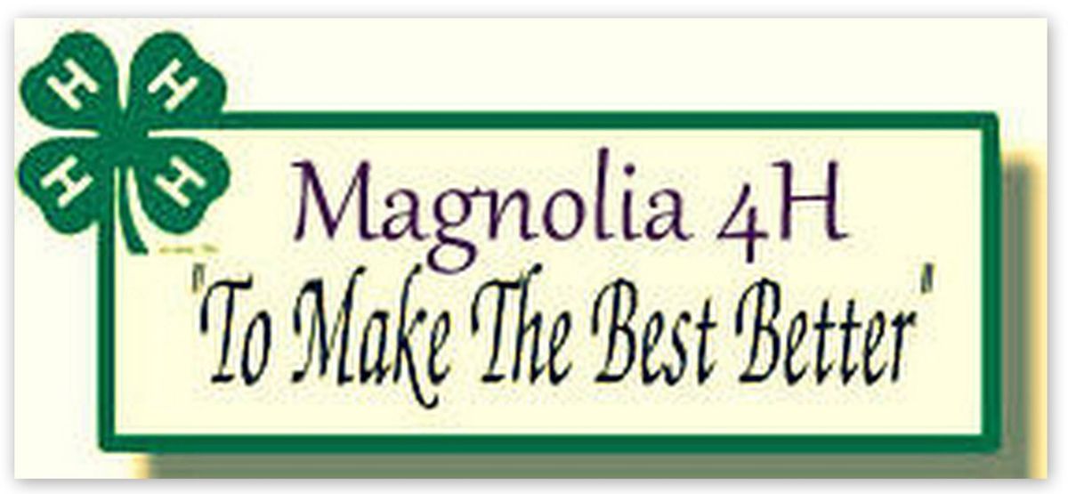 Magnolia 4H Club Monthly Meetings