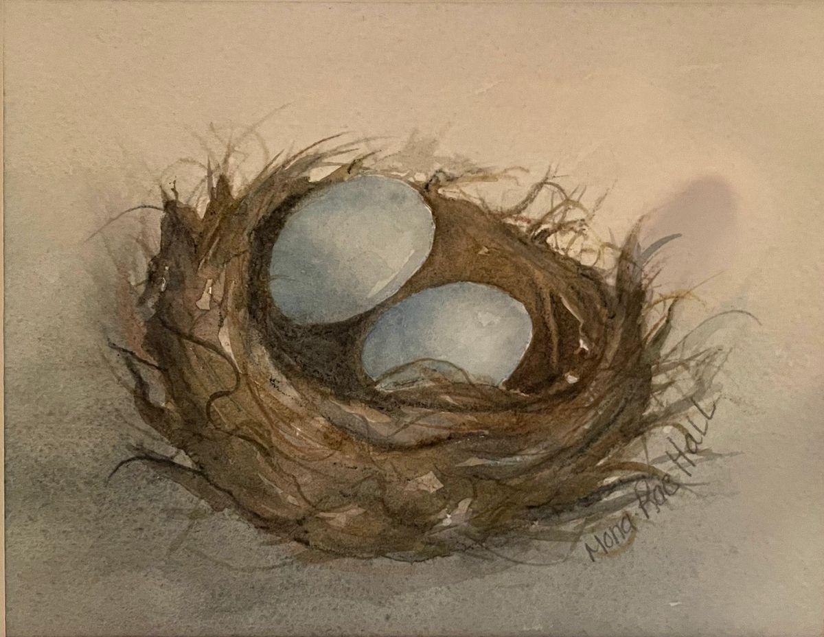 \u201cBird\u2019s Nest\u201d Watercolor Class