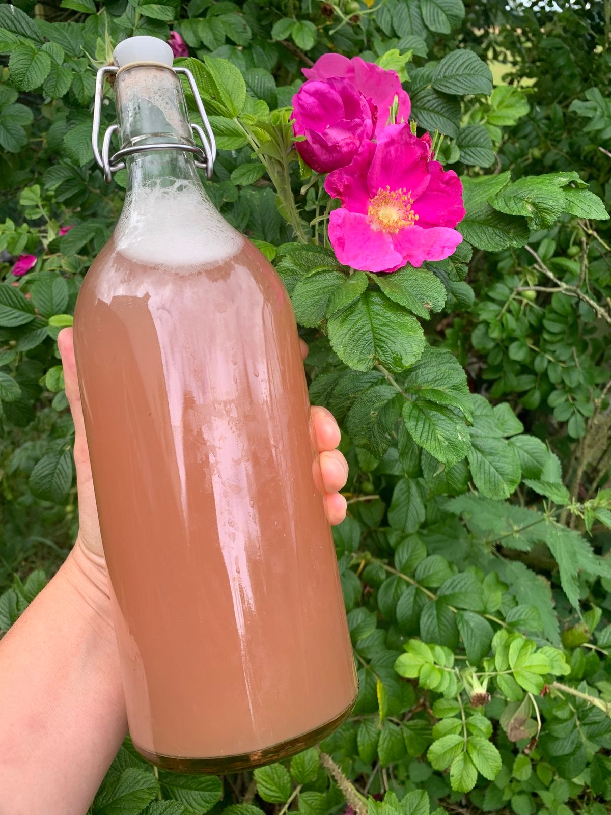 Kombucha Masterclass 