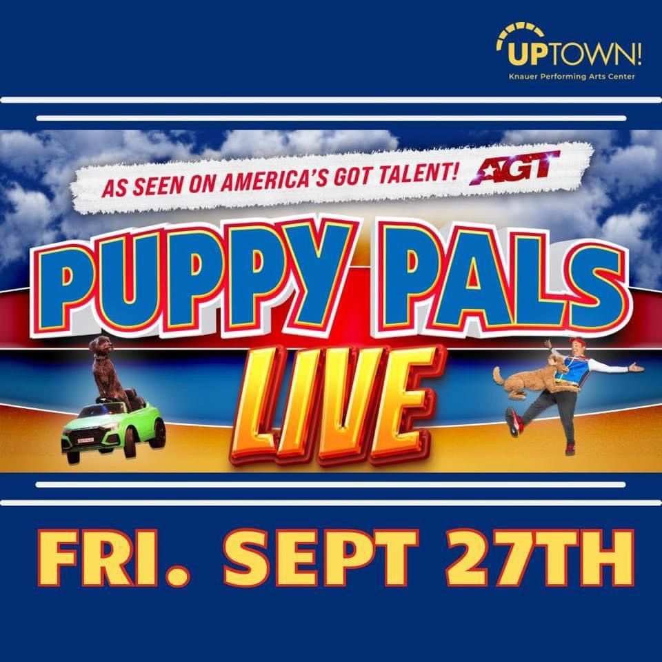 Puppy Pals Live! 