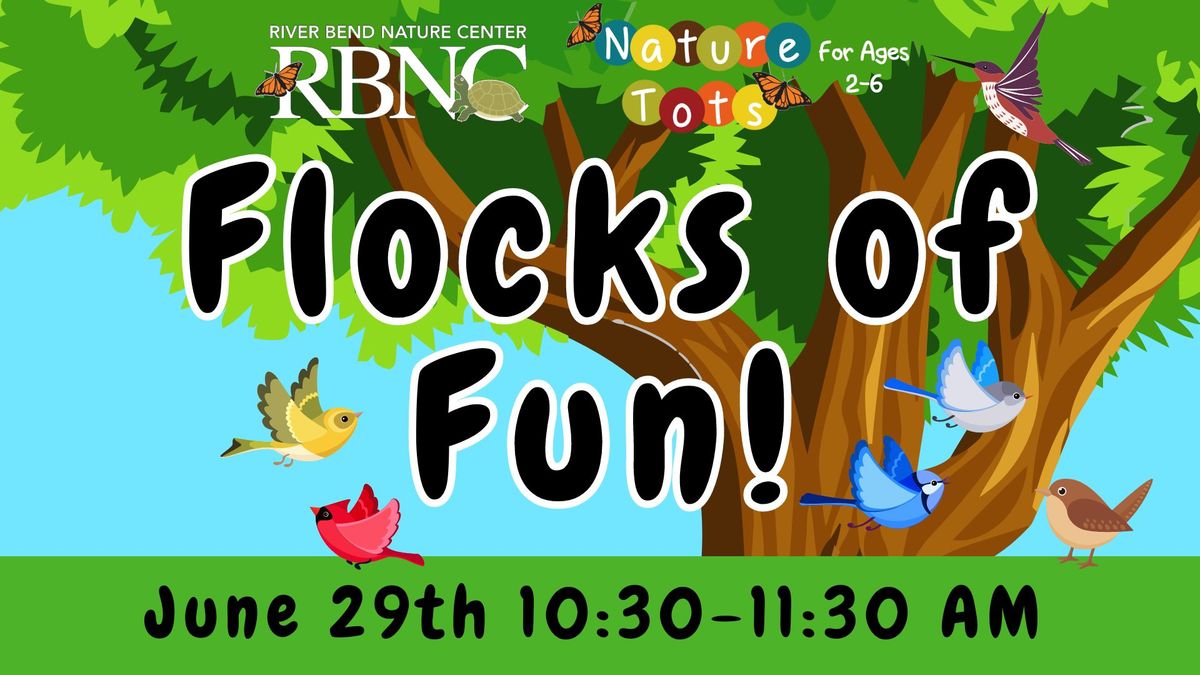 Nature Tots: Flocks of Fun