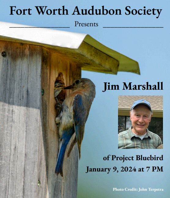  Jim Marshall of Project Bluebird