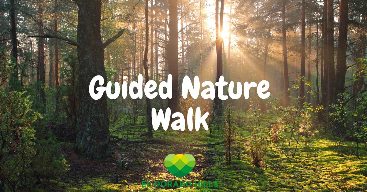 Guided Nature Walk