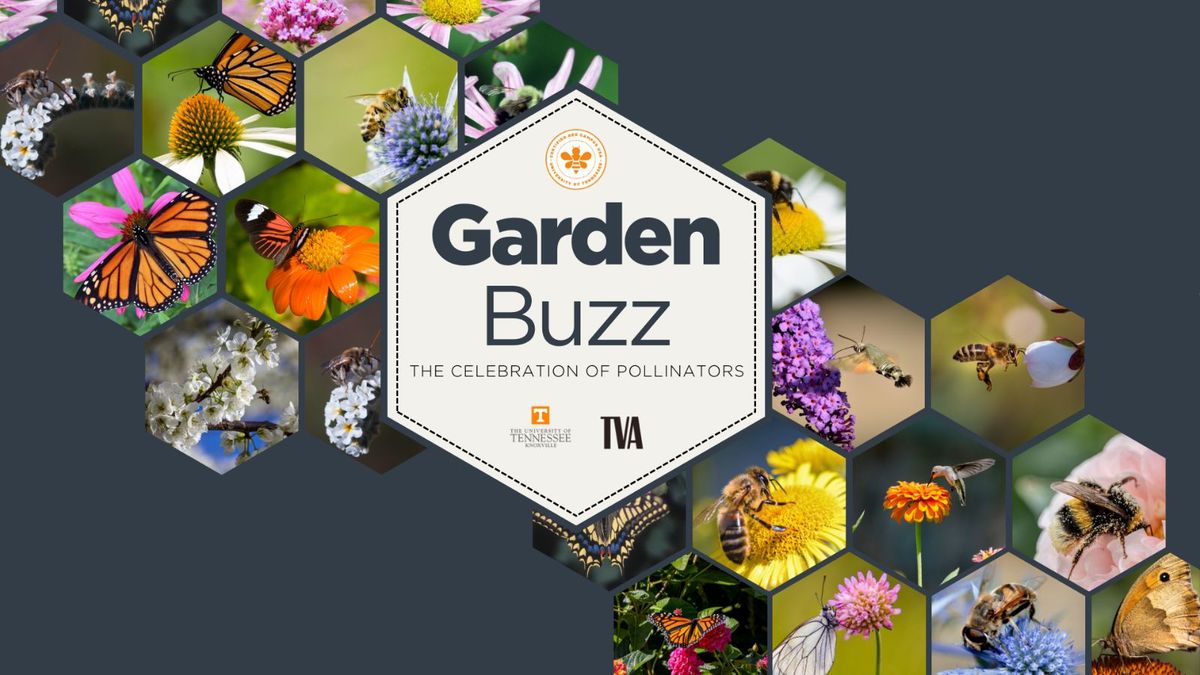 Garden Buzz-The Celebration of Pollinators