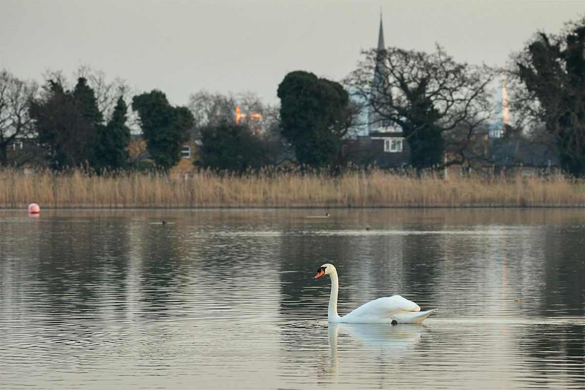 History & Ecology of Woodberry Wetlands - Guided Walk
