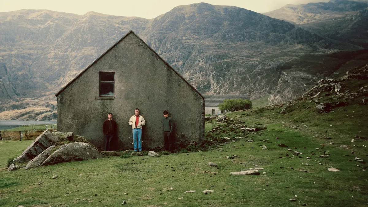 Kingfishr in Co. Dublin